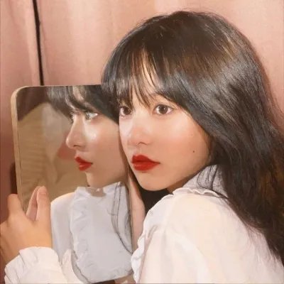 花开蝶满枝